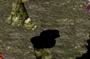 ¿վ
